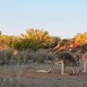 AustraliaTours_1088795-134_TourismAustralia