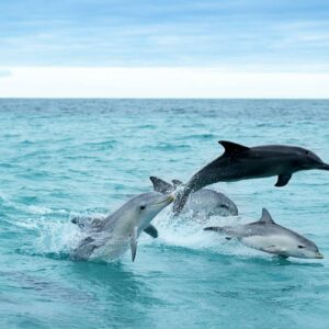 AustraliaTours_1089410-134_©TourismAustralia