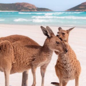 AustraliaTours_1098680-134_©TourismAustralia
