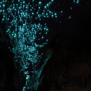 AustraliaTours_231668-waitomo-waikato_TourismNewZealand
