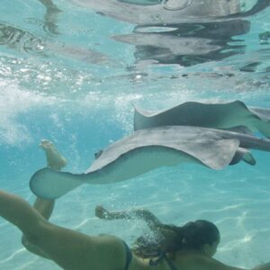 AustraliaTours_P2_02_MOOREA_MG_0021_copyright TNT