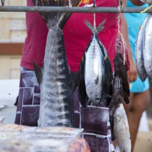 AustraliaTours_P2_10_HUAHINE_01251-2880x1920_copyrightTahitiTourism