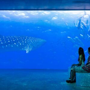 papetoai, baie de opunohu, te fare natura – l’écomusée