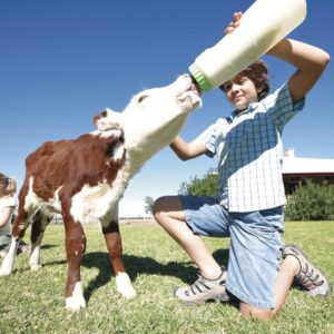 Charlotte-Plains-Farmstay-scaled-2