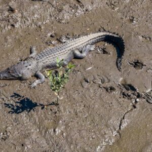 Coral Expeditions – The Kimberley Cruise – King Cascade (2)