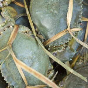 InstyleTouristik_Inselwelten für Entdecker_copyright TNTP2_10_HUAHINE_01262-2880×1920