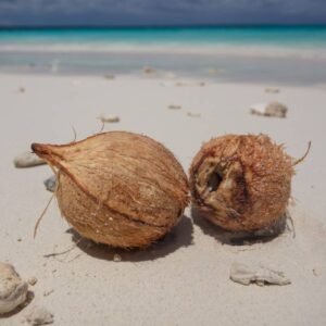 InstyleTouristik_Kiki beach – Lifou-copyright Marine Reveilhac NCT