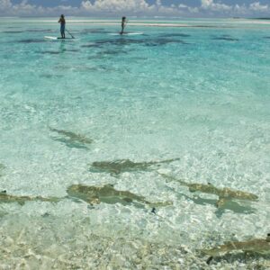 P2_02_TIKEHAU_00127-2840×1852