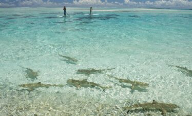 Inselhopping Tahiti Deluxe: private exklusive Rundreise Franz. Polynesien