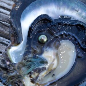 P2_10_TAHAA_01879 © Tahiti Tourisme