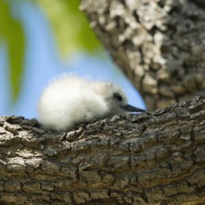 P2_11_TIKEHAU_00200-2880×1920