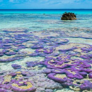 P2_11_TIKEHAU_36 © Lei Tao-3589×2395