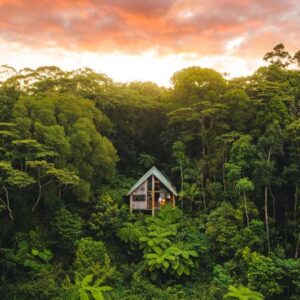 Rose Gums Wilderness Retreat