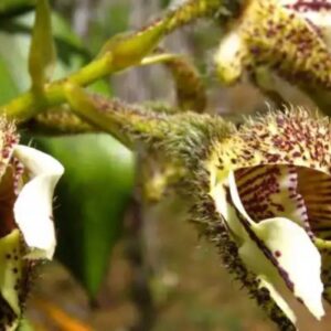 img4667