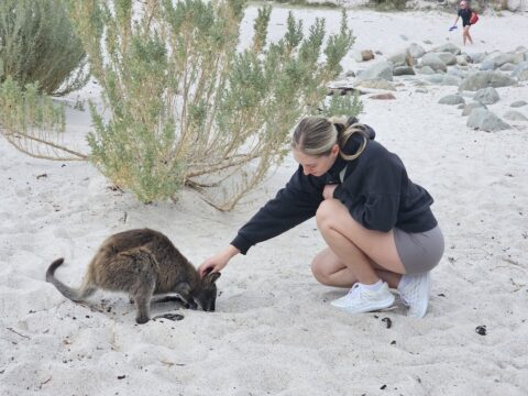 wineglass bay beach - KP
